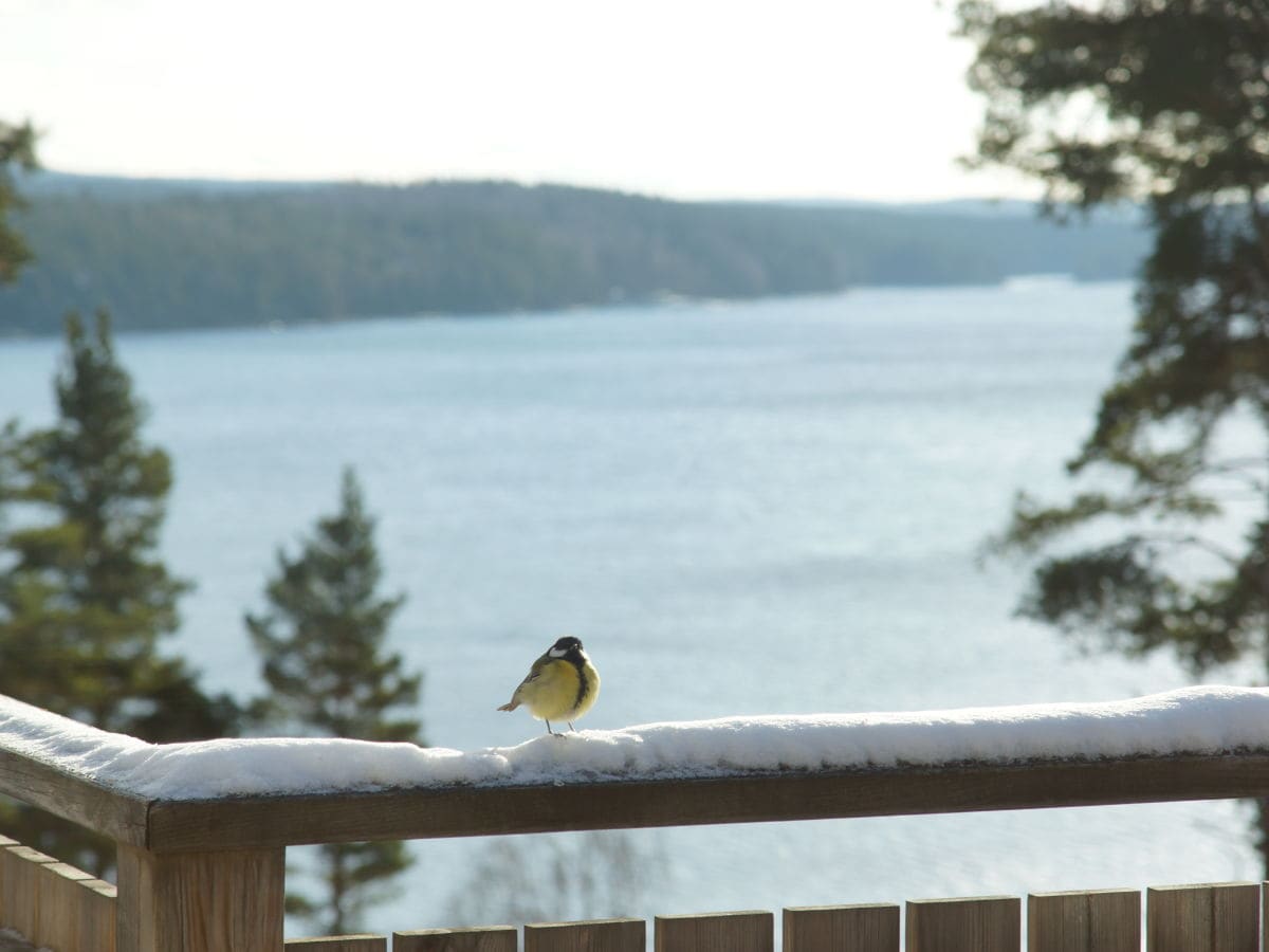 Schweden-ferienhaus-Silltal