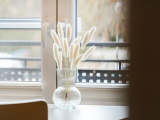 Appartamento per vacanze Greetsiel Caratteristiche 14