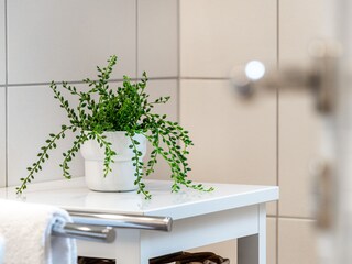 Appartamento per vacanze Greetsiel Caratteristiche 17