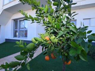 Casa de vacaciones Puerto San Miguel  34