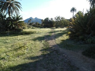 Apartment Presillas Bajas  35