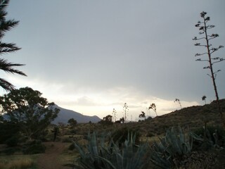 Apartamento Presillas Bajas  40