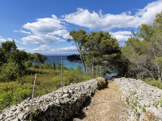 Villa Milna (Brač) Environment 2