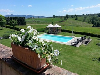 Ferienhaus Panicarola Außenaufnahme 5