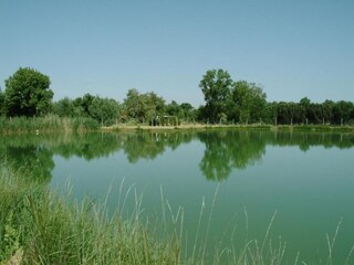 Casa per le vacanze Panicarola Ambiente 40