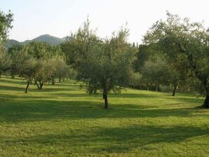 Holiday house Holiday home in Brisighella with garden - Brisighella - image1