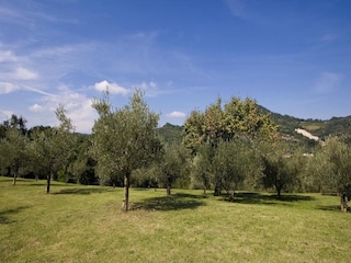 Vakantiehuis Brisighella Buitenaudio-opname 4