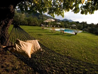 Vakantiehuis Brisighella Buitenaudio-opname 12