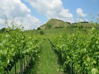 Vakantiehuis Brisighella Buitenaudio-opname 8