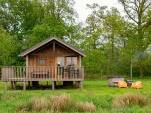 Parc de vacances Lodge confortable avec bain à remous à Drenthe - Monde des Ruines - image1