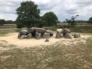 Ferienpark Ruinerwold Umgebung 27