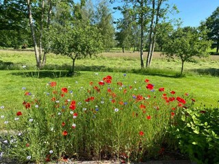 Ferienpark Ruinerwold Umgebung 29