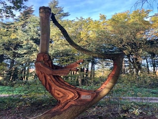 Ferienpark Sint Nicolaasga Umgebung 31