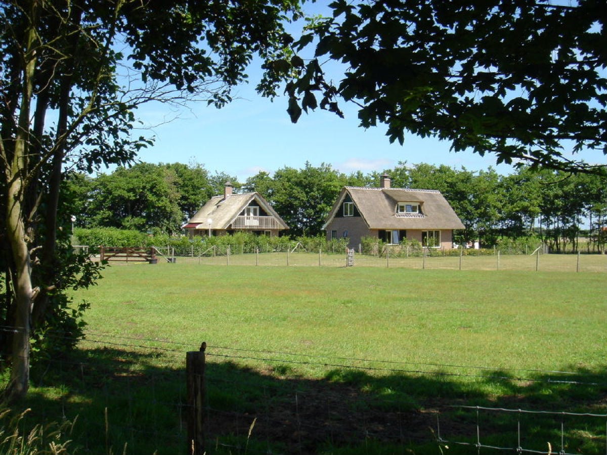 Ferienhaus mit Rieddach