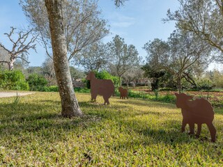 Casa per le vacanze Es Llombards Registrazione all'aperto 10