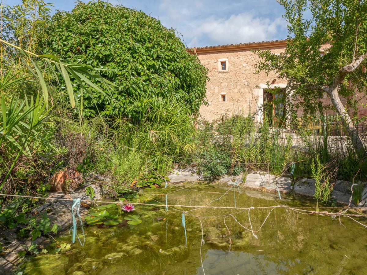 Ferienhaus Son Macià Außenaufnahme 10