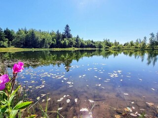 Maison de vacances Ulfborg  13