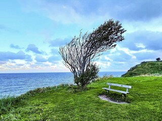 Casa per le vacanze Hundested  26