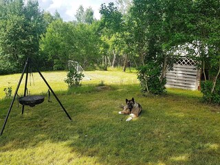 Vakantiehuis Bengtsfors Buitenaudio-opname 8