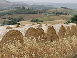 Casa per le vacanze Cetona Ambiente 39