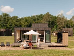 Villa avec cuisine extérieure sur un parc de vacances dans une réserve naturelle - Ermelo - image1