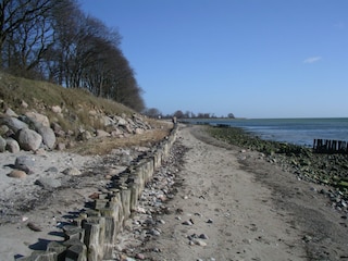 Spaziergang an der Steilküste