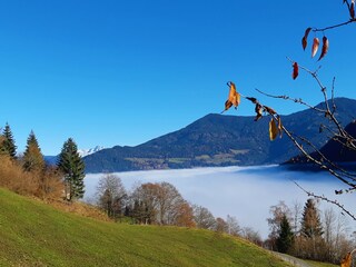 Vakantieappartement Bischofshofen Omgeving 17