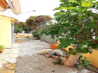 Villa Monte Pego Grabación al aire libre 5