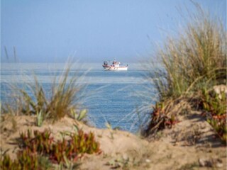 Villa Monte Pego Environment 30