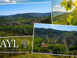 Weinort Ayl