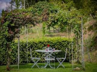 Ferienhaus Poggioni Außenaufnahme 15