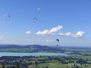 Blick vom Buchenberg auf den Forggensee