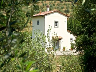 Villa Tuoro sul Trasimeno Enregistrement extérieur 4