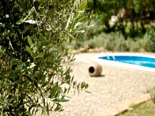 Villa Tuoro sul Trasimeno  29