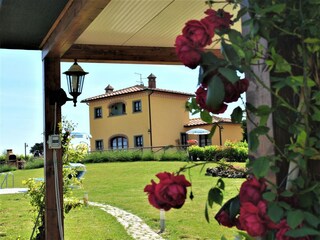 Villa Foiano della Chiana  19