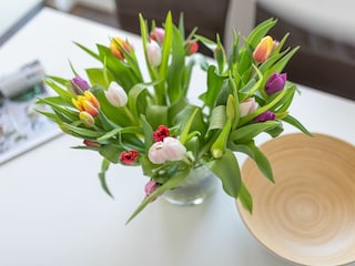 Norderney / Haus Christine - Auster - Wohn-/Essbereich