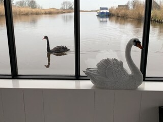 Casa galleggiante Oostknollendam Registrazione all'aperto 10