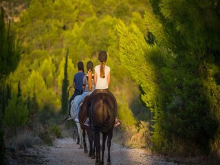 Appartement Mihanići Omgeving 22