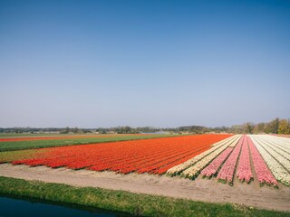 Vakantiepark Deutschland Omgeving 18