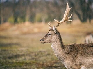Parc de vacances Deutschland Environnement 22
