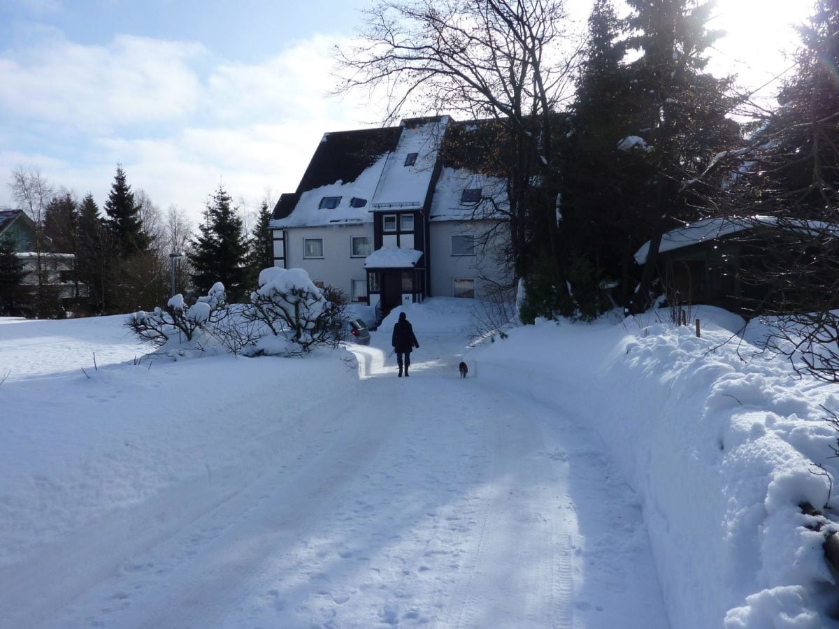 Zufahrt zum Haus über die Garten/-Parkanlage