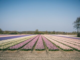Parc de vacances Holland Environnement 21