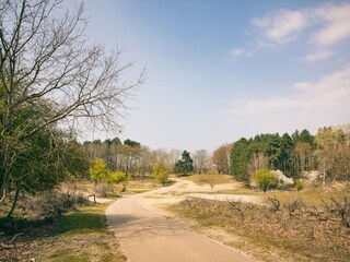 Vakantiepark Welt Omgeving 36