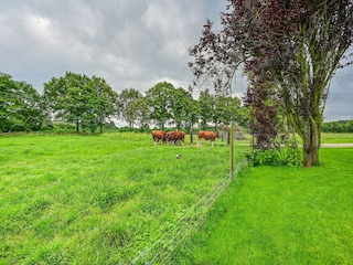 Bauernhof Bocholt Außenaufnahme 5
