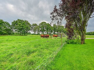 Casa de campo Bocholt Grabación al aire libre 8