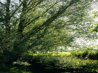 Boerderij Bocholt Omgeving 34