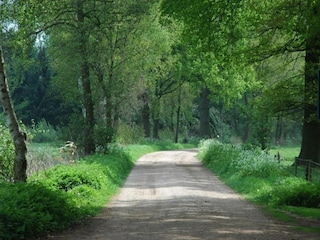 Bauernhof Bocholt Umgebung 35
