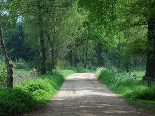Fattoria Bocholt Ambiente 35