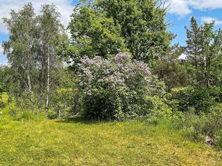 Holiday house Färgelanda  27