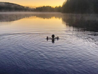 Holiday house Welt  25